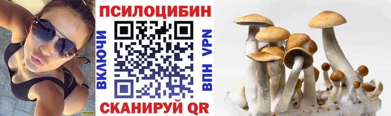где продают наркотики  Партизанск  Галлюциногенные грибы Cubensis 